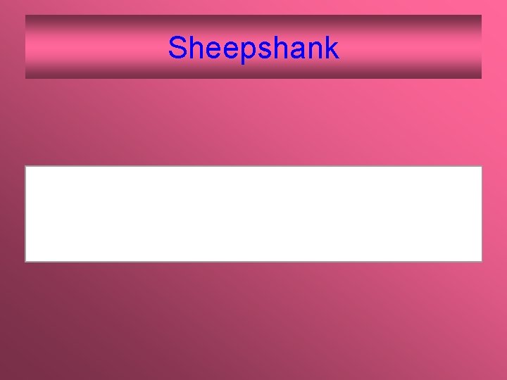 Sheepshank 