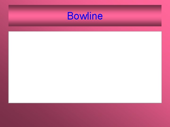 Bowline 