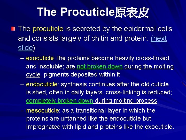 The Procuticle原表皮 The procuticle is secreted by the epidermal cells and consists largely of The Procuticle原表皮 The procuticle is secreted by the epidermal cells and consists largely of