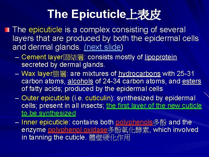 The Epicuticle上表皮 The epicuticle is a complex consisting of several layers that are produced The Epicuticle上表皮 The epicuticle is a complex consisting of several layers that are produced