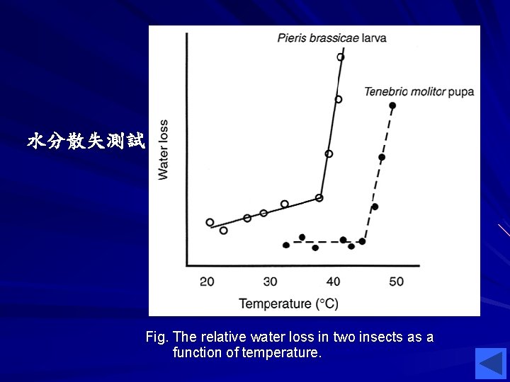 水分散失測試 Fig. The relative water loss in two insects as a function of temperature. 水分散失測試 Fig. The relative water loss in two insects as a function of temperature.