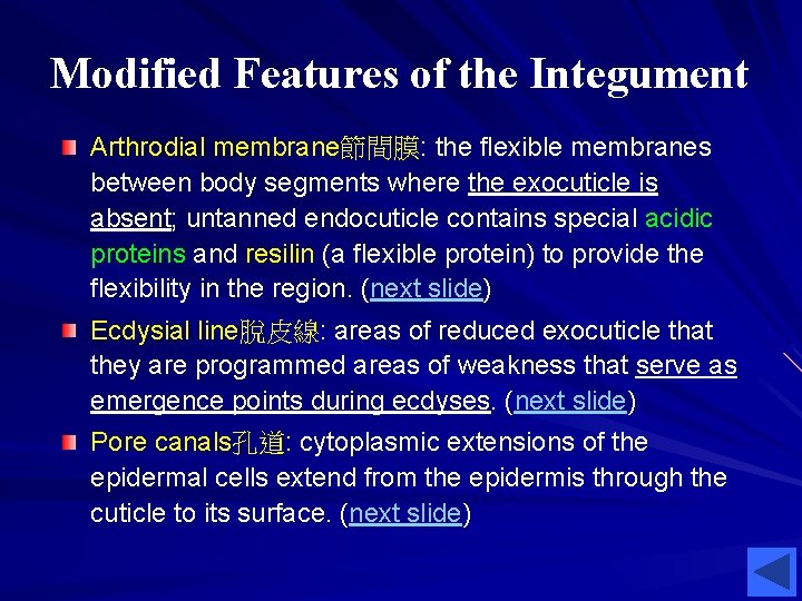 Modified Features of the Integument Arthrodial membrane節間膜: the flexible membranes between body segments where Modified Features of the Integument Arthrodial membrane節間膜: the flexible membranes between body segments where