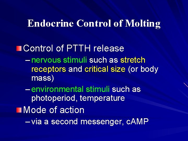 Endocrine Control of Molting Control of PTTH release – nervous stimuli such as stretch Endocrine Control of Molting Control of PTTH release – nervous stimuli such as stretch