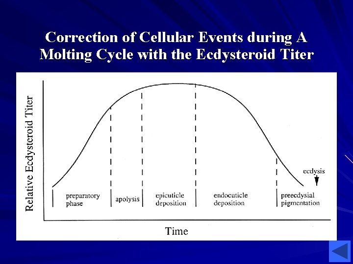 Correction of Cellular Events during A Molting Cycle with the Ecdysteroid Titer Correction of Cellular Events during A Molting Cycle with the Ecdysteroid Titer
