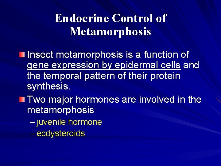 Endocrine Control of Metamorphosis Insect metamorphosis is a function of gene expression by epidermal Endocrine Control of Metamorphosis Insect metamorphosis is a function of gene expression by epidermal