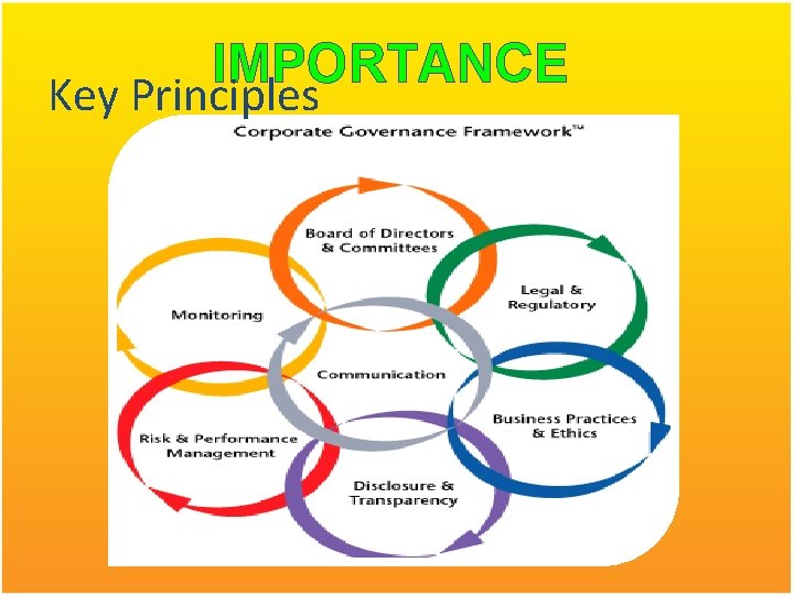 IMPORTANCE Key Principles 