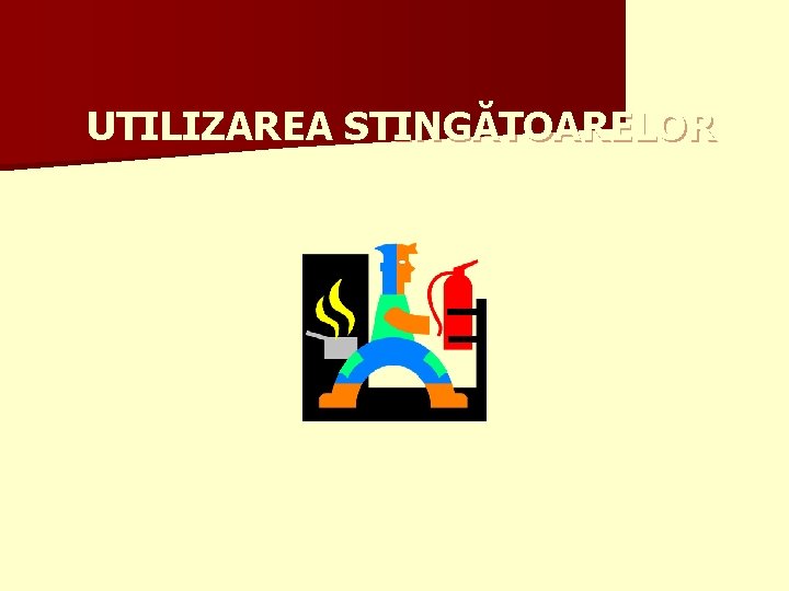 UTILIZAREA STINGĂTOARELOR 