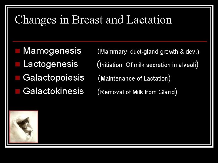 Changes in Breast and Lactation Mamogenesis n Lactogenesis n Galactopoiesis n Galactokinesis n (Mammary