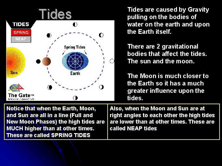 Tides are caused by Gravity pulling on the bodies of water on the earth