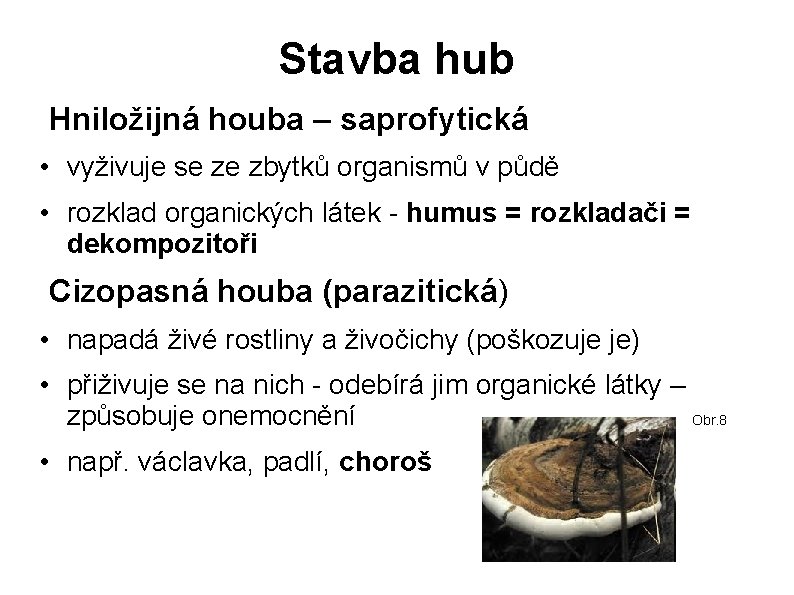 Stavba hub Hniložijná houba – saprofytická • vyživuje se ze zbytků organismů v půdě