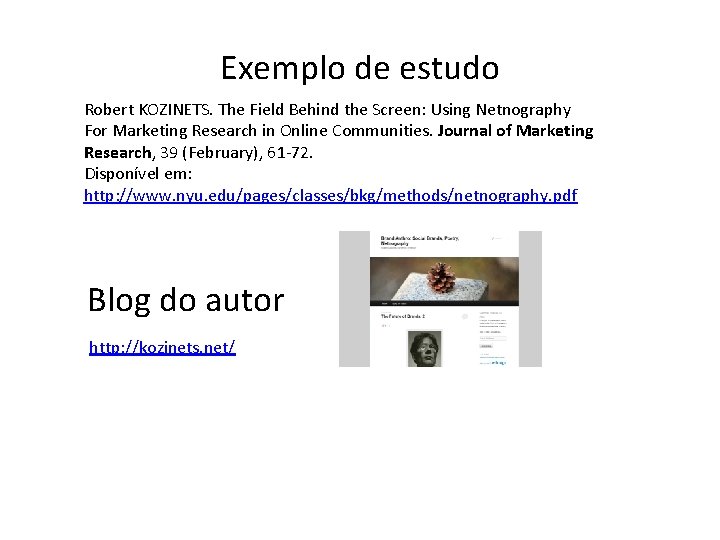 Exemplo de estudo Robert KOZINETS. The Field Behind the Screen: Using Netnography For Marketing