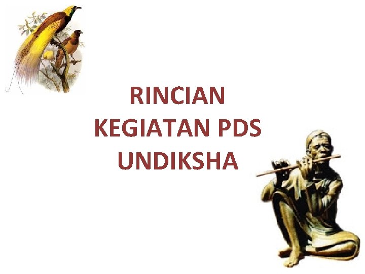RINCIAN KEGIATAN PDS UNDIKSHA 
