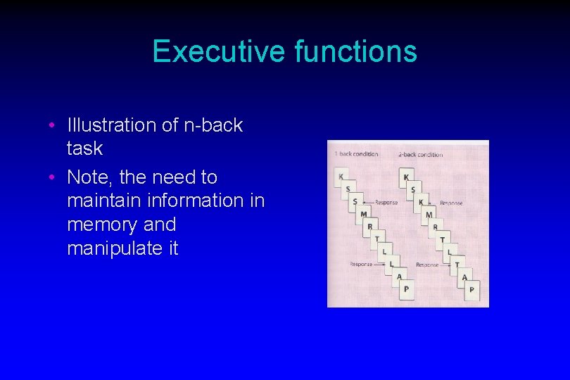 Executive functions • Illustration of n-back task • Note, the need to maintain information