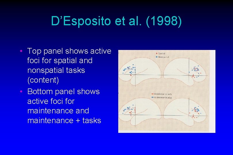 D’Esposito et al. (1998) • Top panel shows active foci for spatial and nonspatial
