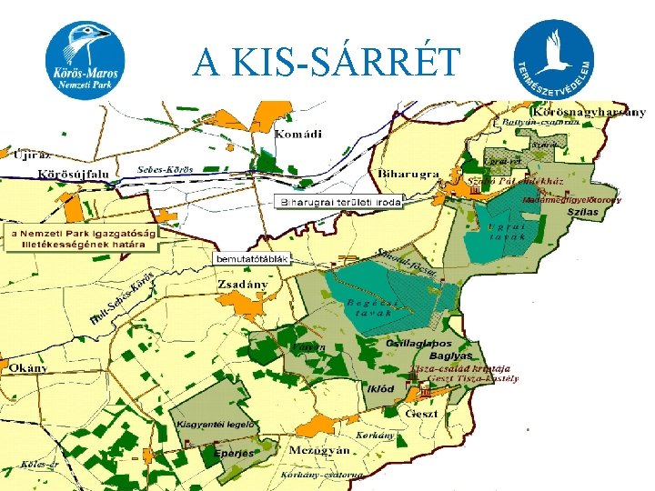 A KIS-SÁRRÉT 