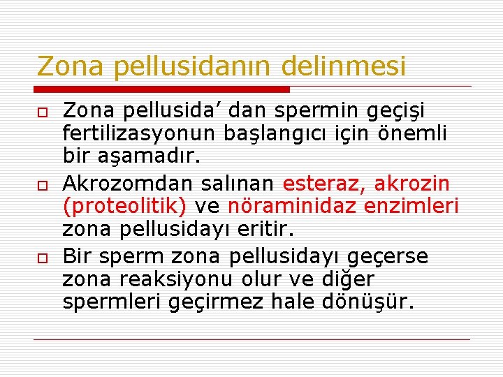 Zona pellusidanın delinmesi o o o Zona pellusida’ dan spermin geçişi fertilizasyonun başlangıcı için Zona pellusidanın delinmesi o o o Zona pellusida’ dan spermin geçişi fertilizasyonun başlangıcı için