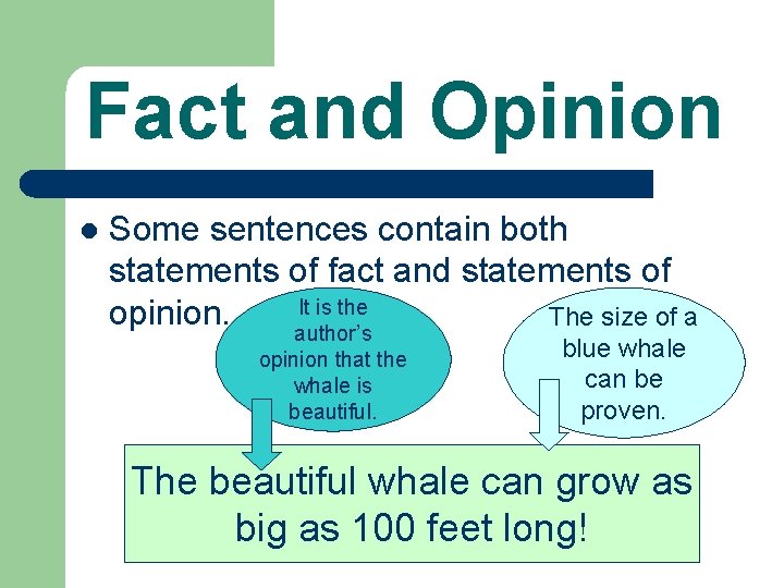 Fact and Opinion l Some sentences contain both statements of fact and statements of