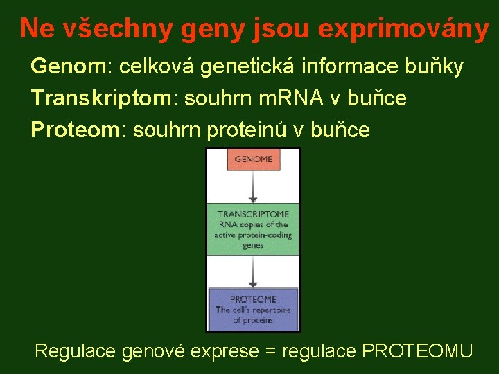 Ne všechny geny jsou exprimovány Genom: celková genetická informace buňky Transkriptom: souhrn m. RNA