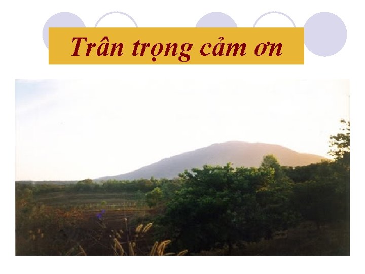 Trân trọng cảm ơn 