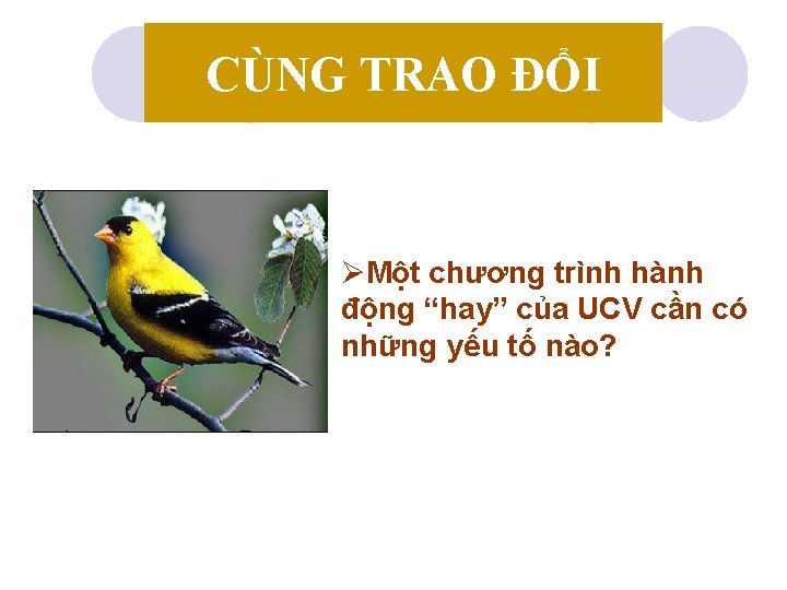 CÙNG TRAO ĐỔI ØMột chương trình hành động “hay” của UCV cần có những