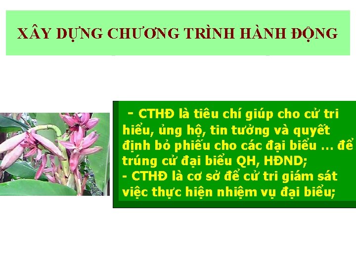 X Y DỰNG CHƯƠNG TRÌNH HÀNH ĐỘNG - CTHĐ là tiêu chí giúp cho