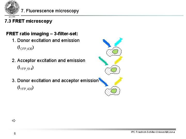 7. Fluorescence microscopy 7. 3 FRET microscopy FRET ratio imaging – 3 -filter-set: 1.