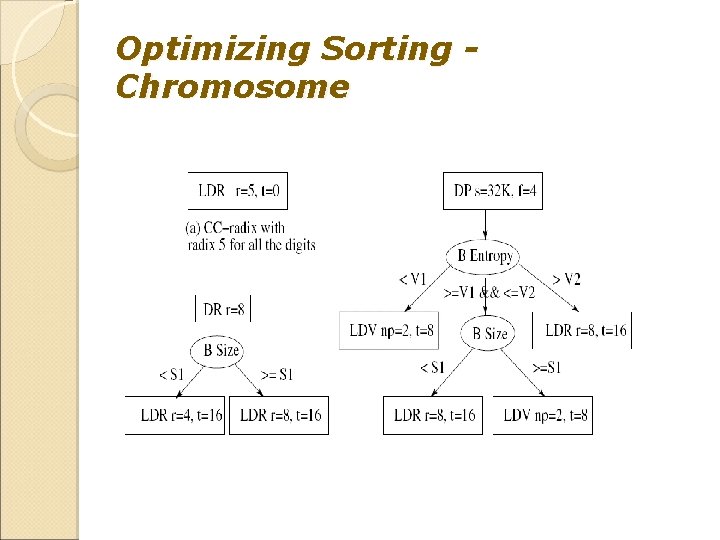 Optimizing Sorting Chromosome 