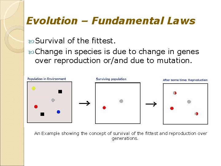Evolution – Fundamental Laws Survival of the fittest. Change in species is due to