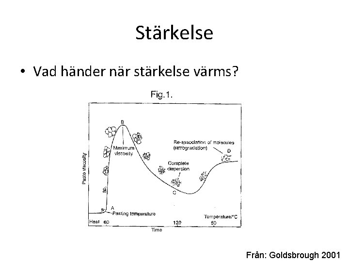 Stärkelse • Vad händer när stärkelse värms? Från: Goldsbrough 2001 