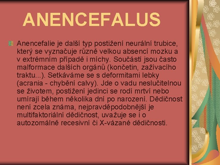 ANENCEFALUS Anencefalie je další typ postižení neurální trubice, který se vyznačuje různě velkou absencí
