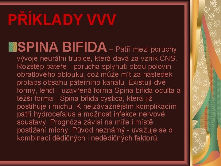 PŘÍKLADY VVV SPINA BIFIDA – Patří mezi poruchy vývoje neurální trubice, která dává za