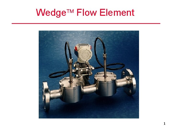 Wedge Flow Element 1 