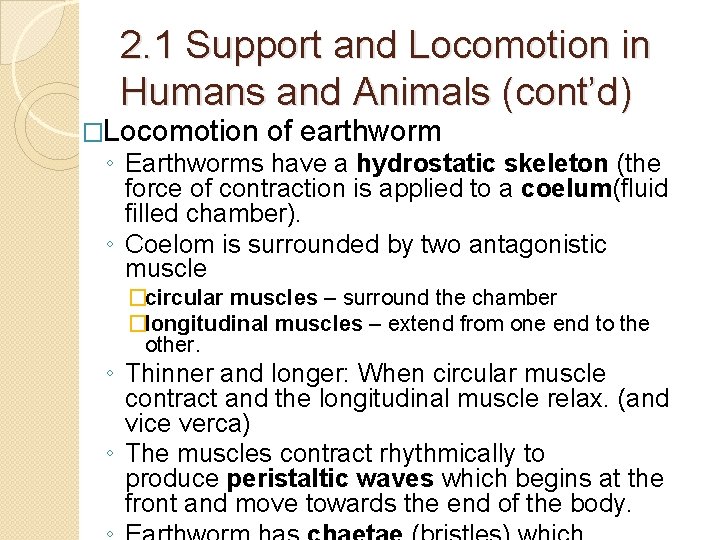 2. 1 Support and Locomotion in Humans and Animals (cont’d) �Locomotion of earthworm ◦ 2. 1 Support and Locomotion in Humans and Animals (cont’d) �Locomotion of earthworm ◦