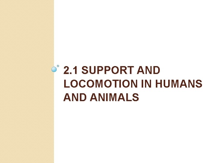2. 1 SUPPORT AND LOCOMOTION IN HUMANS AND ANIMALS 2. 1 SUPPORT AND LOCOMOTION IN HUMANS AND ANIMALS