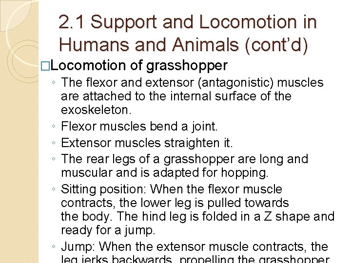 2. 1 Support and Locomotion in Humans and Animals (cont’d) �Locomotion of grasshopper ◦ 2. 1 Support and Locomotion in Humans and Animals (cont’d) �Locomotion of grasshopper ◦