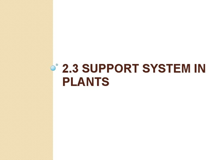 2. 3 SUPPORT SYSTEM IN PLANTS 2. 3 SUPPORT SYSTEM IN PLANTS