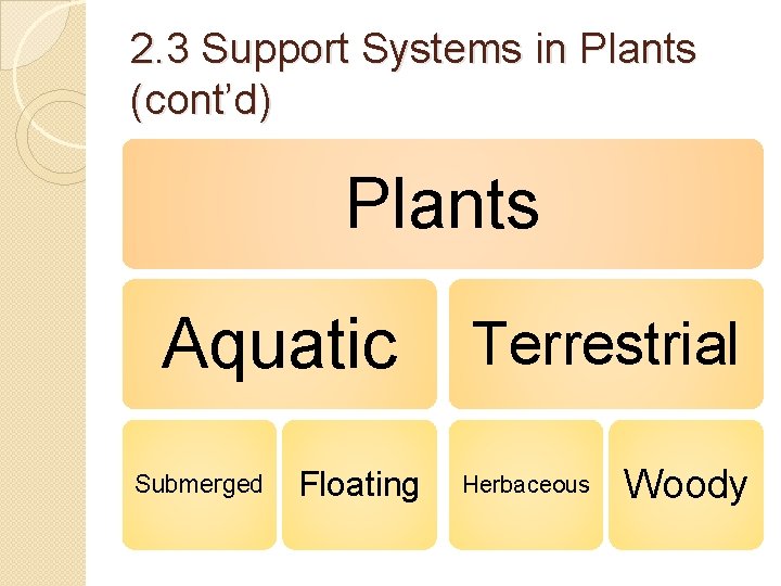 2. 3 Support Systems in Plants (cont’d) Plants Aquatic Submerged Floating Terrestrial Herbaceous Woody 2. 3 Support Systems in Plants (cont’d) Plants Aquatic Submerged Floating Terrestrial Herbaceous Woody