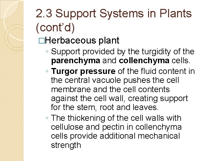 2. 3 Support Systems in Plants (cont’d) �Herbaceous plant ◦ Support provided by the 2. 3 Support Systems in Plants (cont’d) �Herbaceous plant ◦ Support provided by the