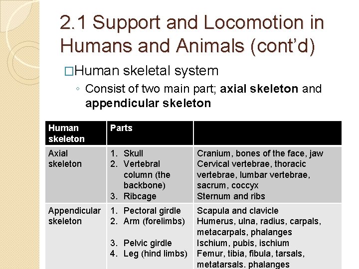 2. 1 Support and Locomotion in Humans and Animals (cont’d) �Human skeletal system ◦ 2. 1 Support and Locomotion in Humans and Animals (cont’d) �Human skeletal system ◦