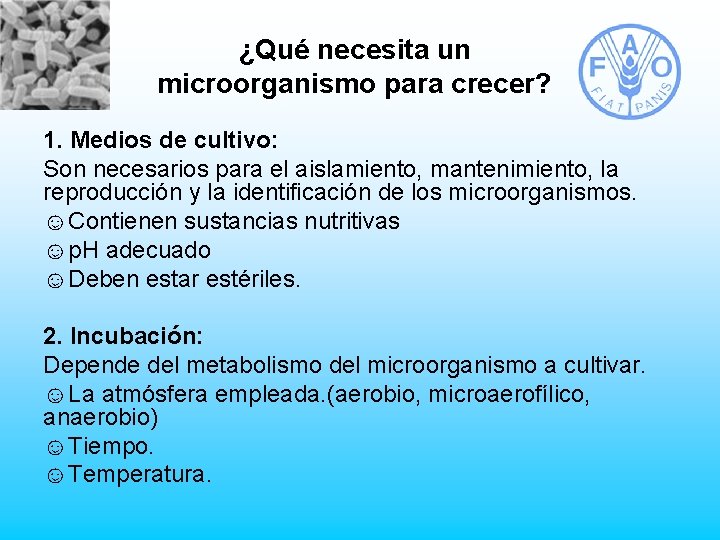 ¿Qué necesita un microorganismo para crecer? 1. Medios de cultivo: Son necesarios para el