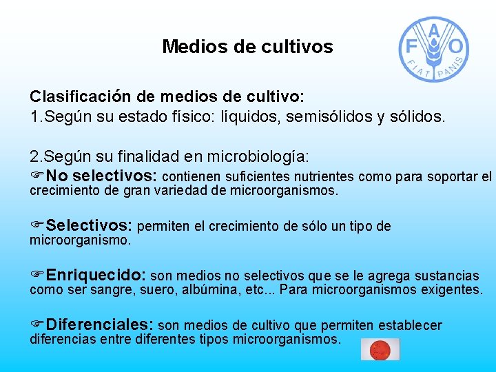 Medios de cultivos Clasificación de medios de cultivo: 1. Según su estado físico: líquidos,