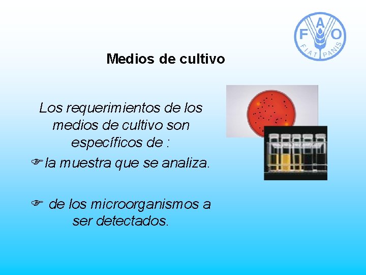 Medios de cultivo Los requerimientos de los medios de cultivo son específicos de :