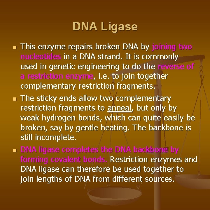 DNA Ligase n n n This enzyme repairs broken DNA by joining two nucleotides