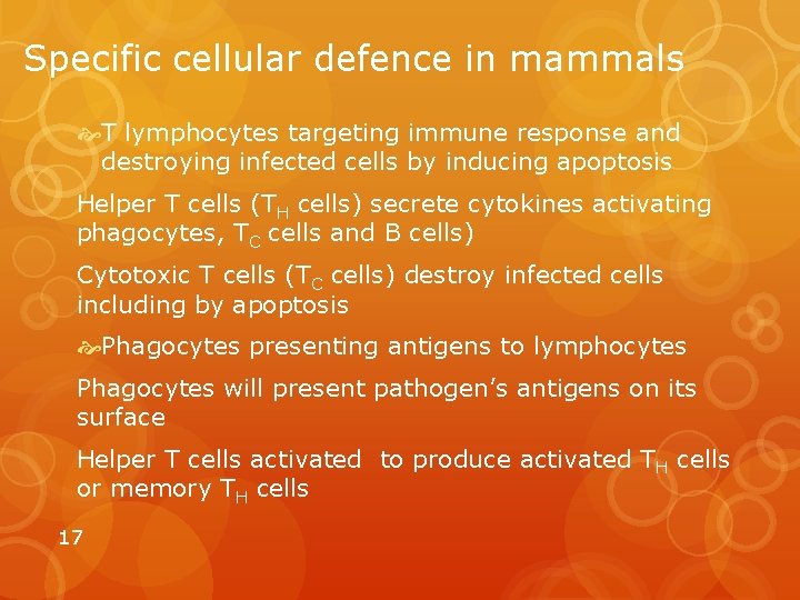 Specific cellular defence in mammals T lymphocytes targeting immune response and destroying infected cells