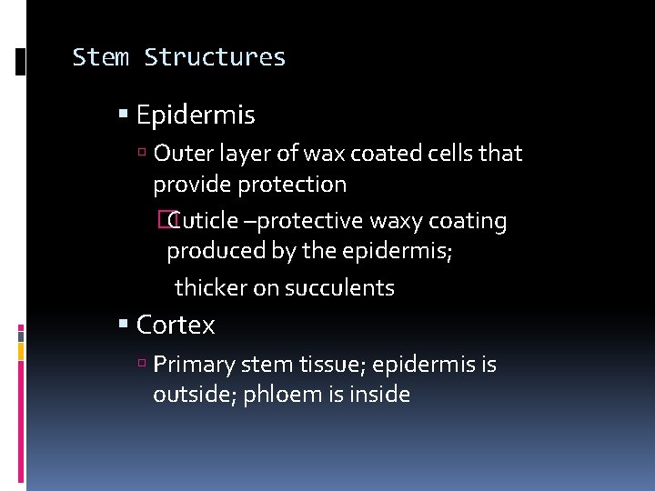Stem Structures Epidermis Outer layer of wax coated cells that provide protection � Cuticle Stem Structures Epidermis Outer layer of wax coated cells that provide protection � Cuticle
