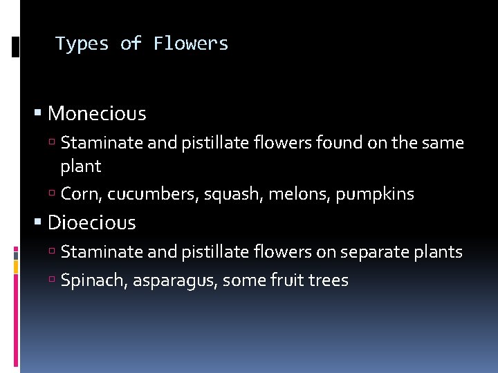 Types of Flowers Monecious Staminate and pistillate flowers found on the same plant Corn,