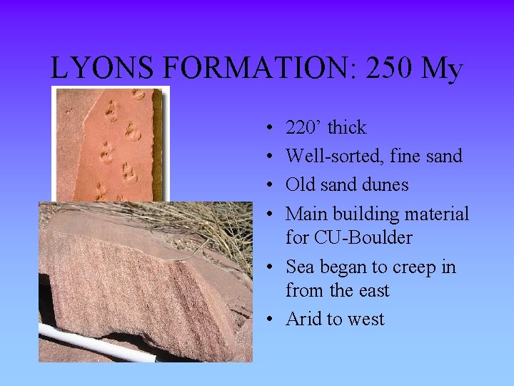 LYONS FORMATION: 250 My • • 220’ thick Well-sorted, fine sand Old sand dunes