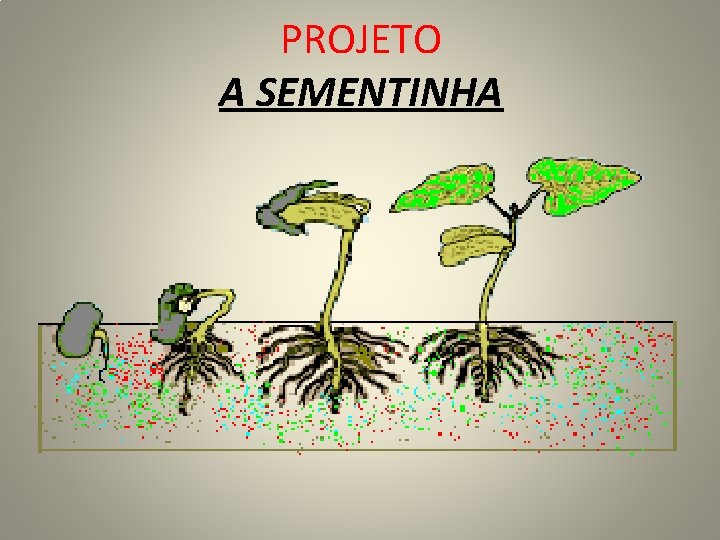 PROJETO A SEMENTINHA 