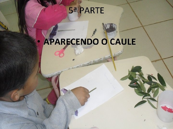 5ª PARTE • APARECENDO O CAULE 