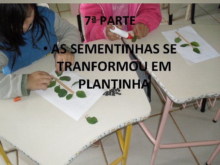 7ª PARTE • AS SEMENTINHAS SE TRANFORMOU EM PLANTINHA 